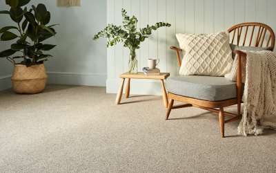 Transform Your Space: Choosing the Right Commercial Carpet