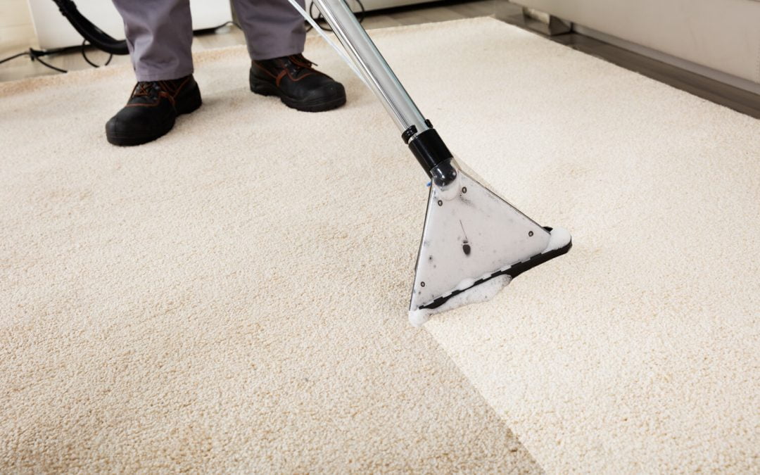 Carpet Cleaning South Wales