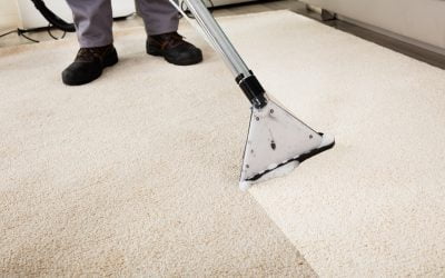 Key Factors that Can Increase Your Cost of Carpet Cleaning