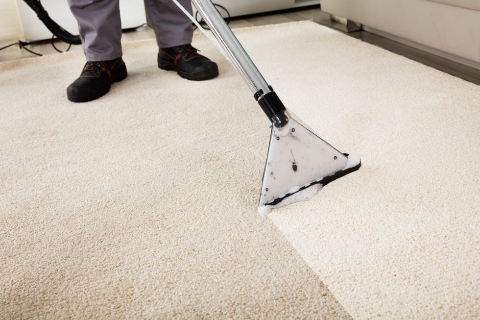 What is The Difference Between Area Rug And Carpet Cleaning? Know The